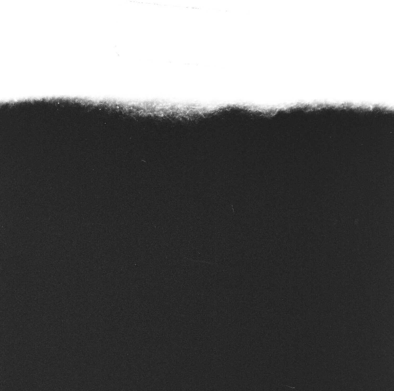 4525663-3669616.jpg