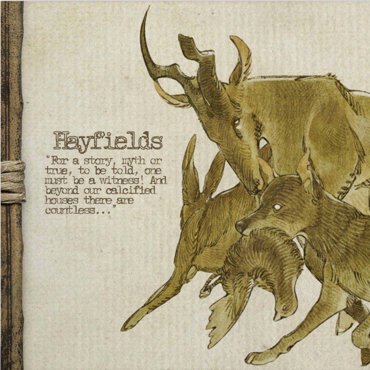 Yaelokre - Hayfields