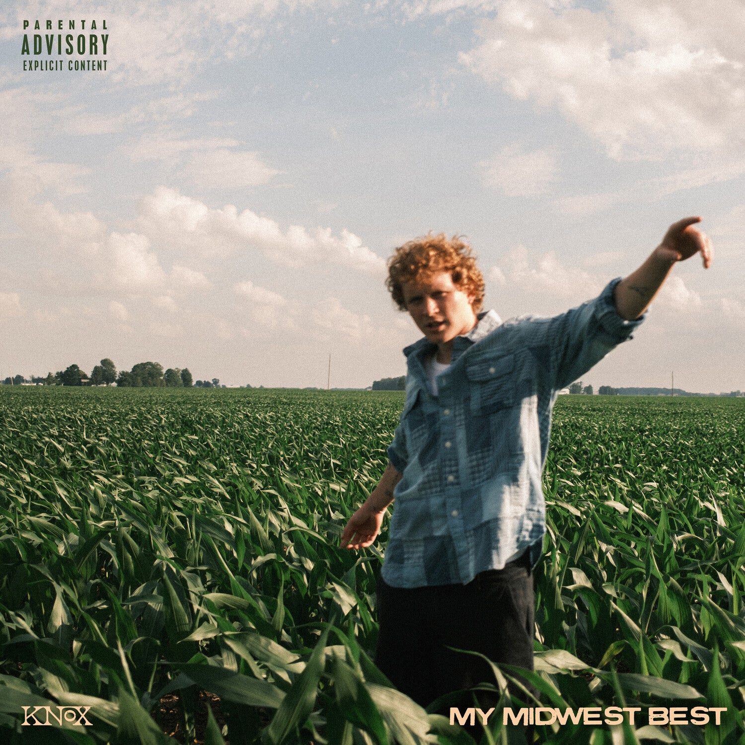 Knox - My Midwest Best