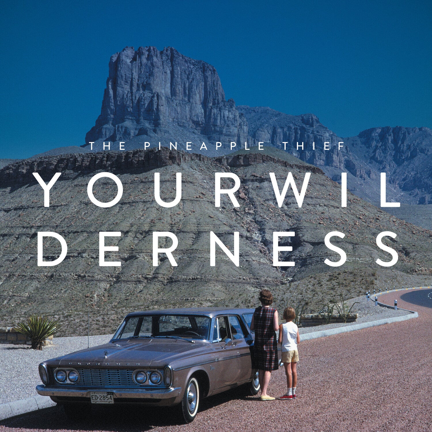 Pineapple Thief - Your Wilderness 2xLP (Clear Vinyl) — vinyl LP album cover