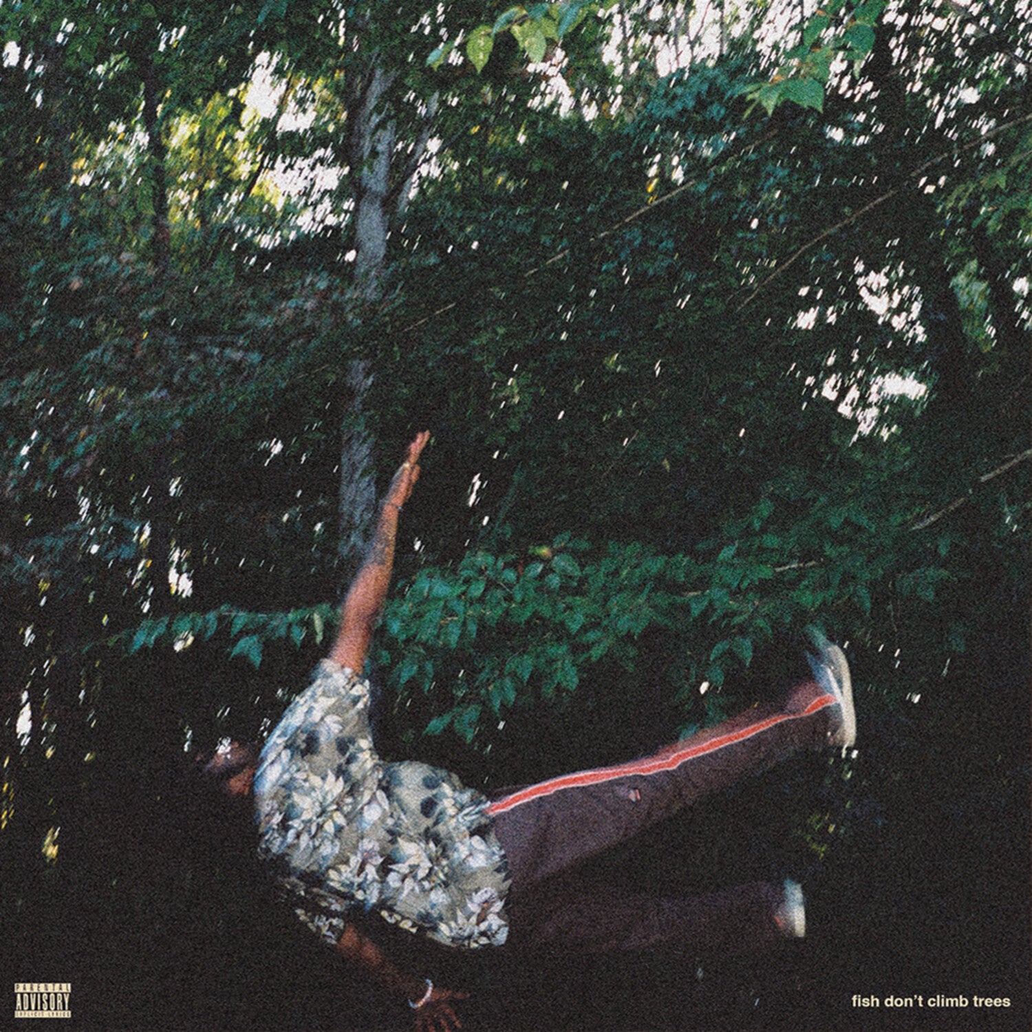 Chester Watson - Fish don't climb trees