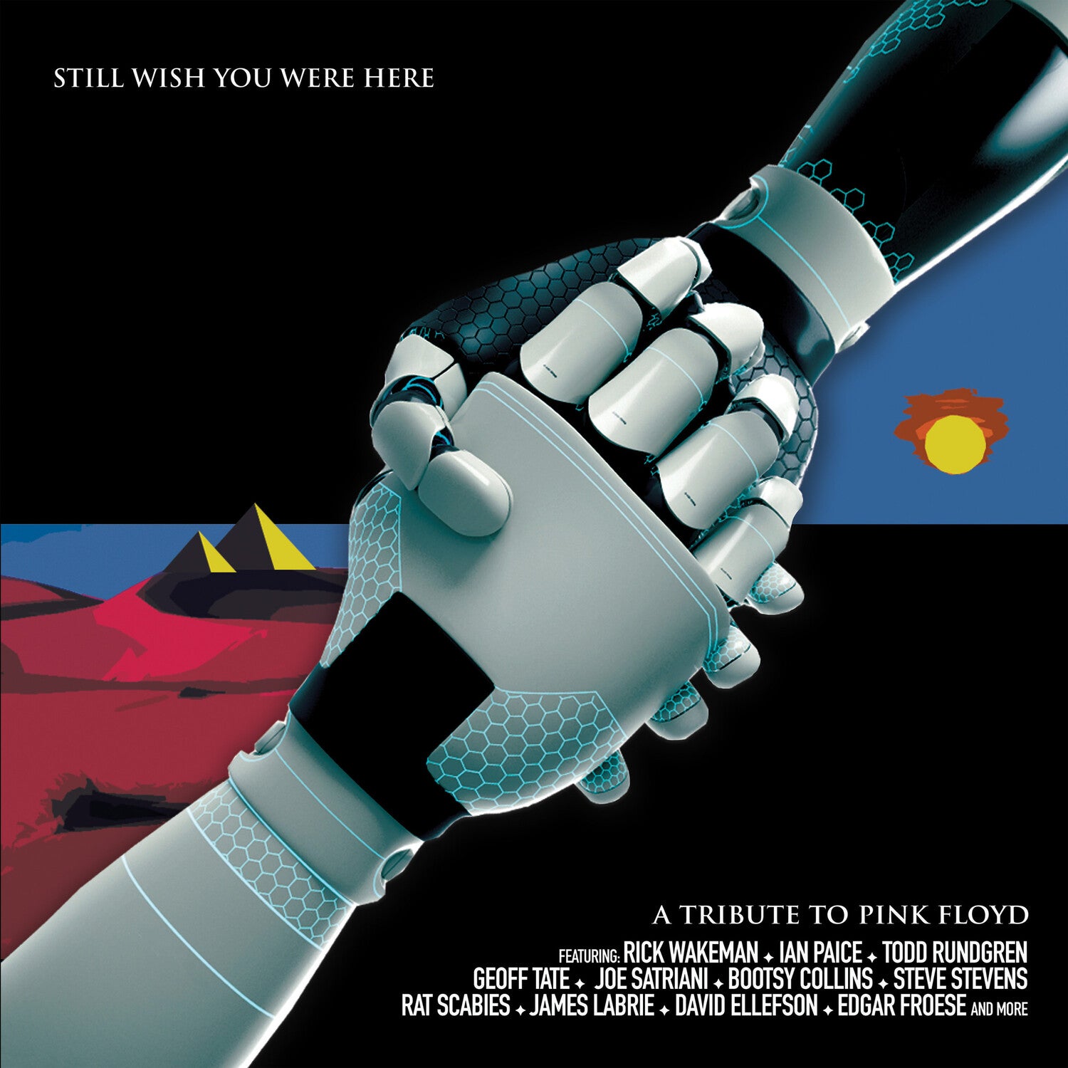 Still Wish You Were Here: Tribute to Pink / Var - Still Wish You Were Here: A Tribute To Pink Floyd