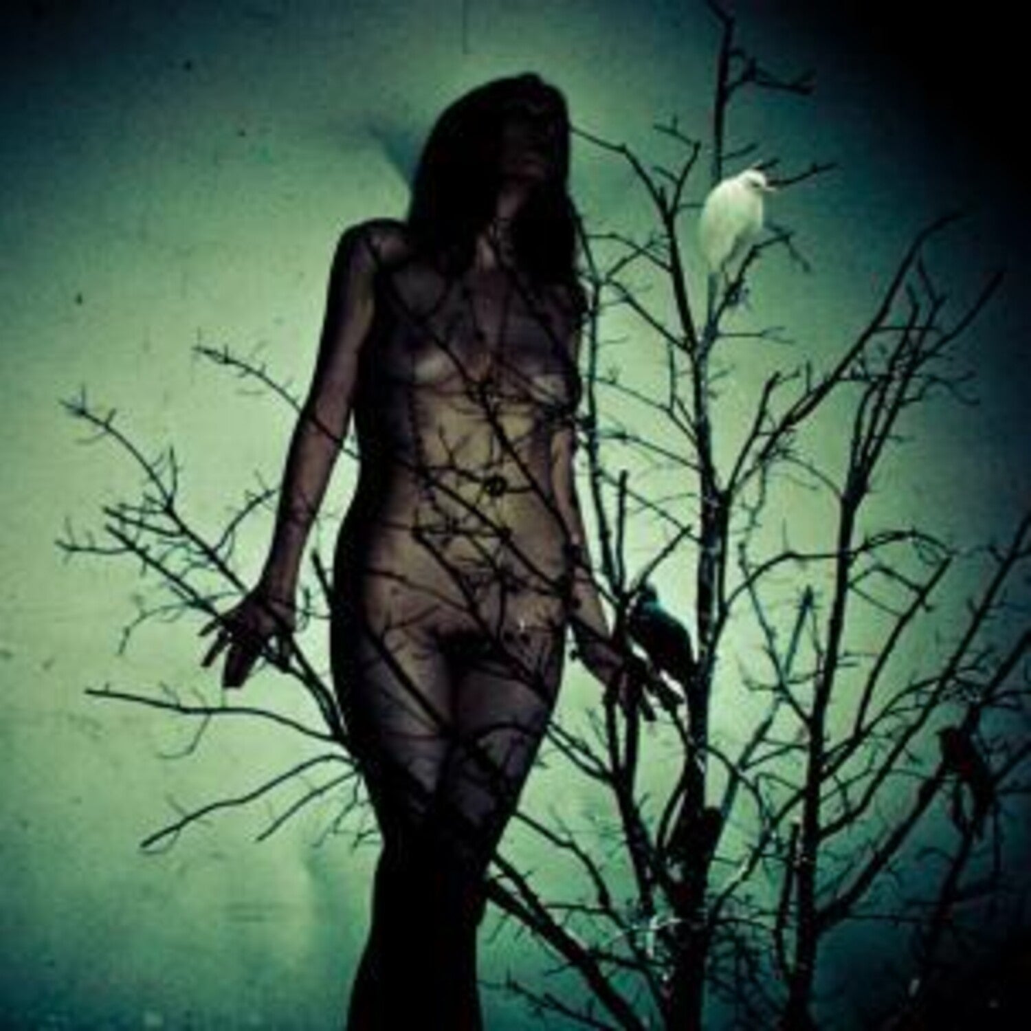 Atlas Moth - An Ache For The Distance - Martian