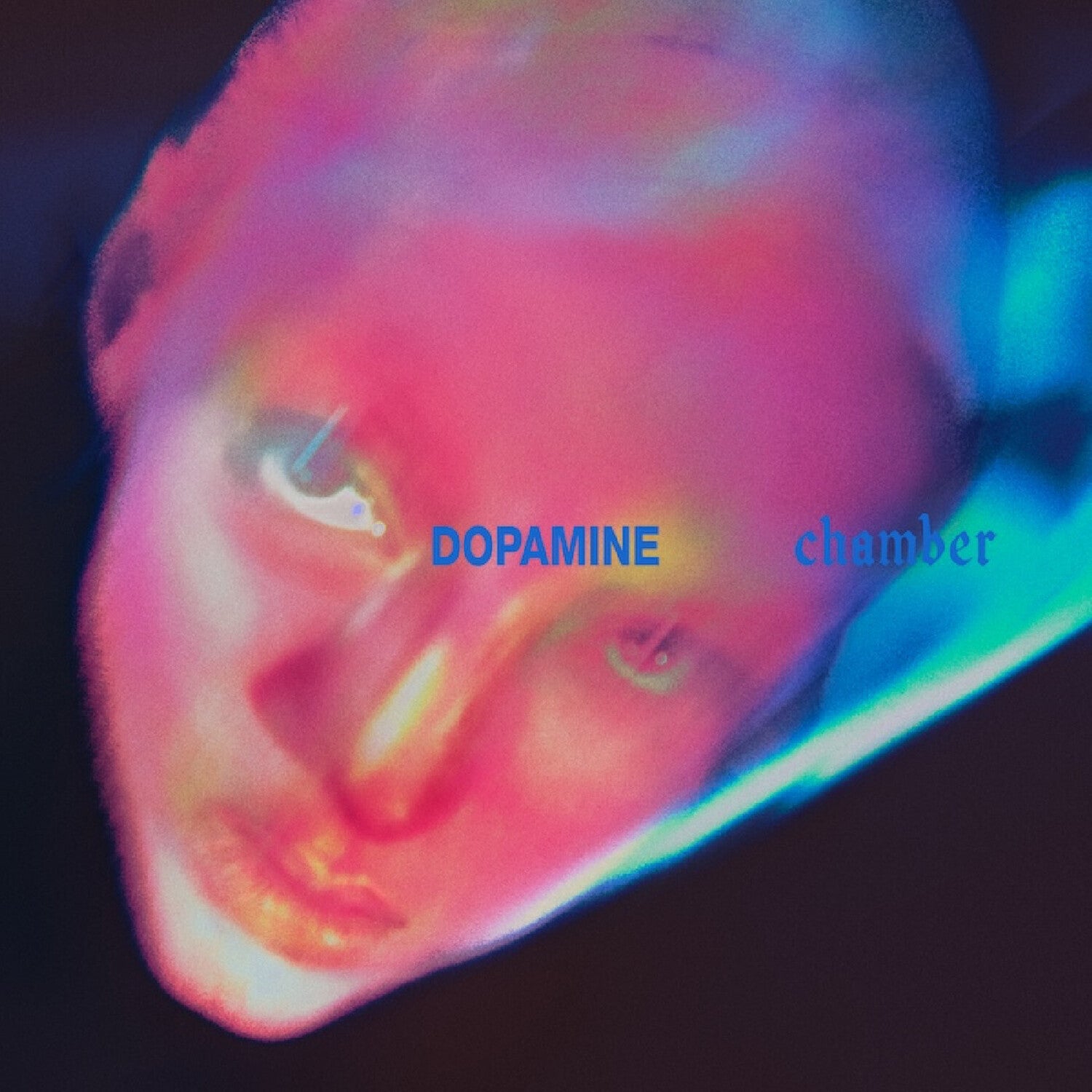 Fontaines D.C. - Dopamine Chamber — vinyl LP album cover
