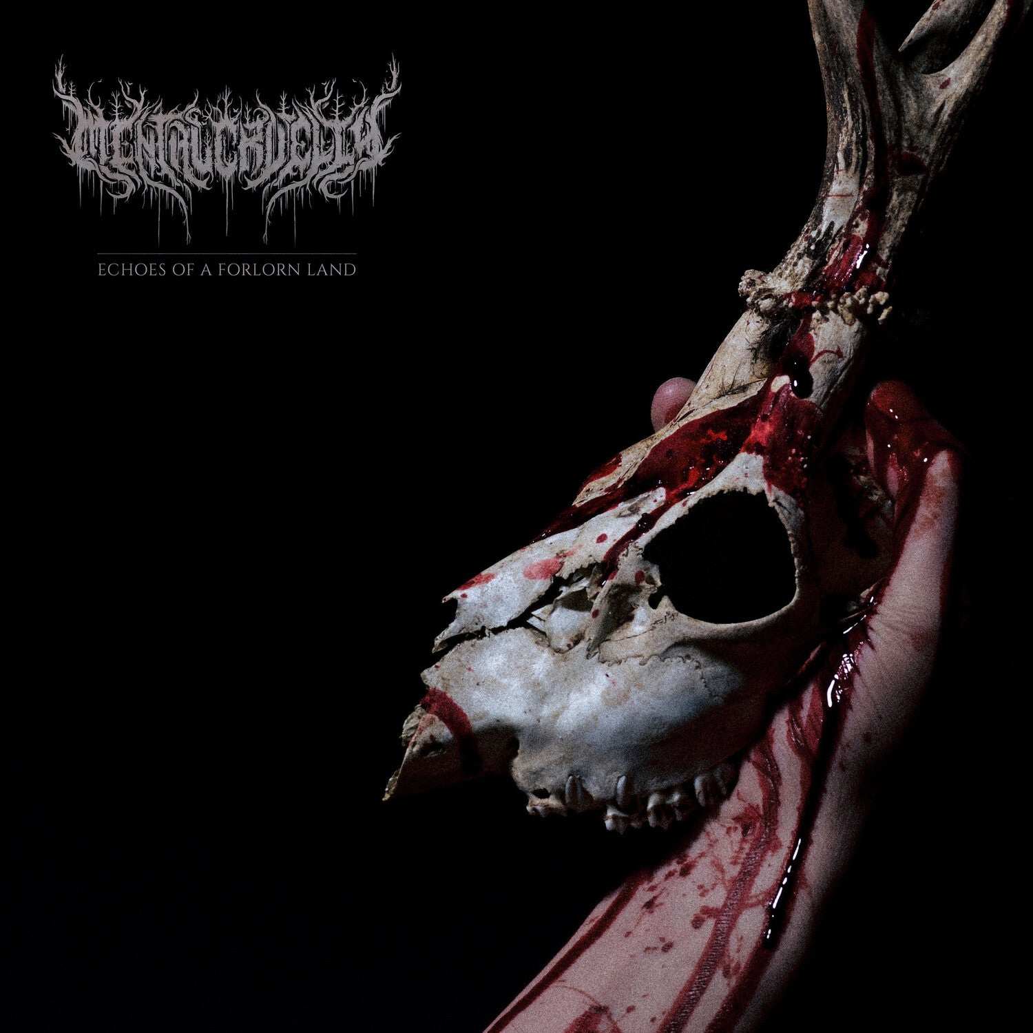 Mental Cruelty - Echoes Of A Forlorn Land (CD)