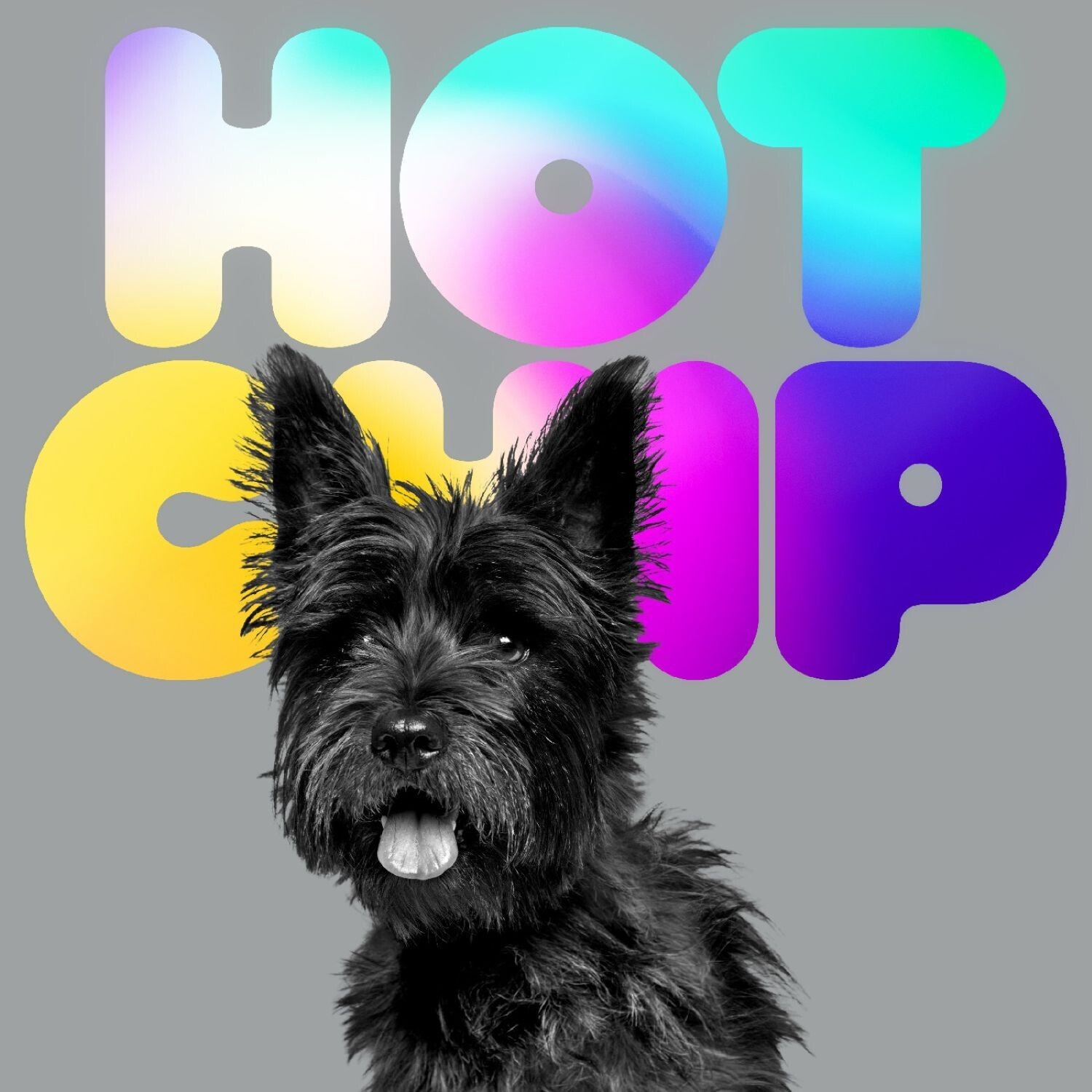 Hot Chip - A Long Way From Kansas 2xLP — vinyl LP album cover