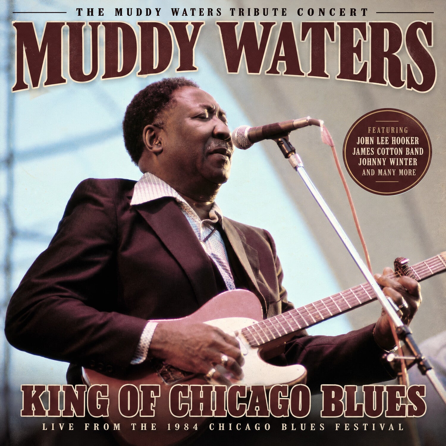 Muddy Waters - King of Chicago Blues — vinyl LP album cover