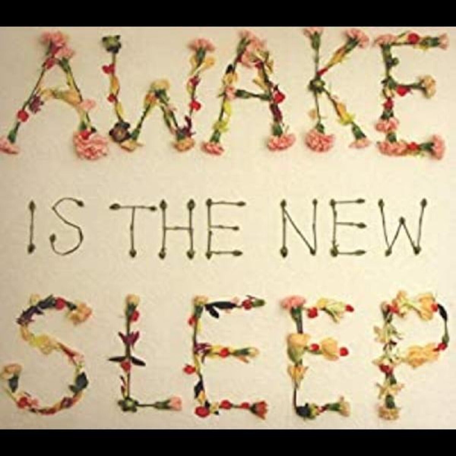 Ben Lee - Awake Is the New Sleep (CD)