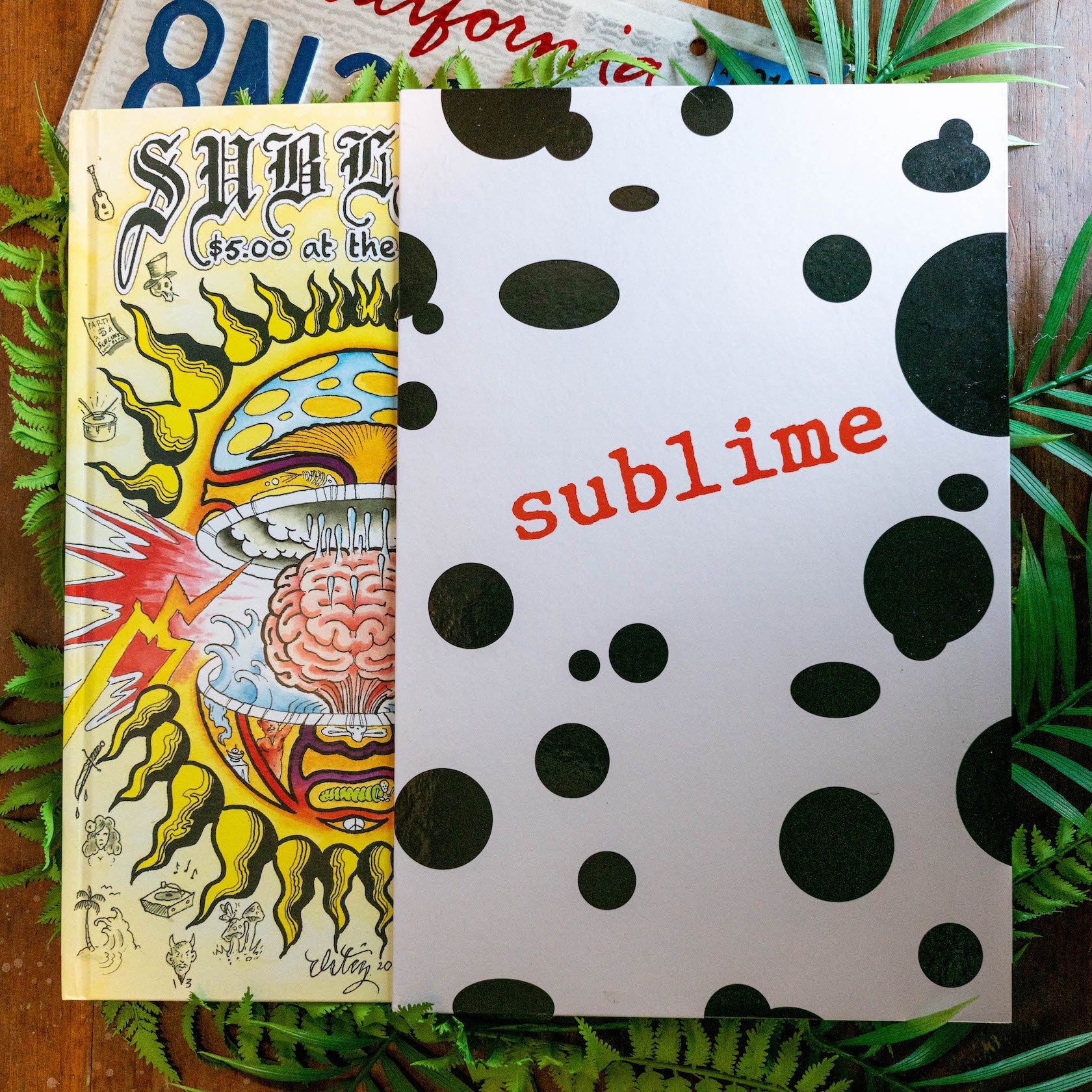 Sublime-June-01864_79aa3507-dce9-421e-89be-c407c3b57c87.jpg