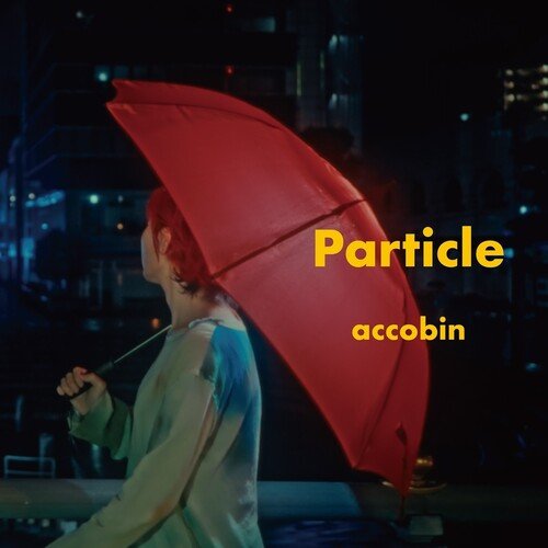 Accobin - PARTICLE - Corkys Coffee