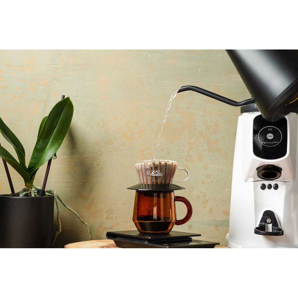 AllGround ProBrew Filter Coffee Grinder - Forest Green - Corkys Coffee