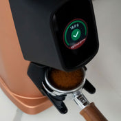 AllGround Sense All Purpose Home Coffee Grinder - Bright Silver - Corkys Coffee