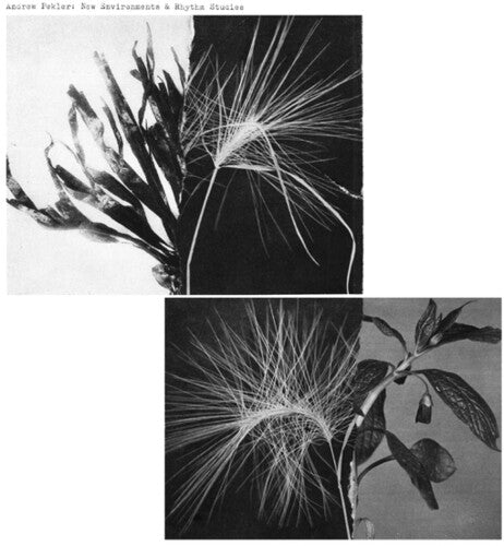 Andrew Pekler - New Environments & Rhythm Studies - Corkys Coffee