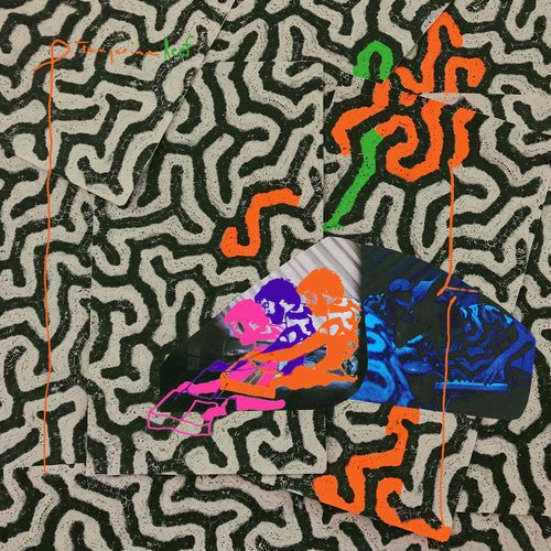Animal Collective - Tangerine Reef - Corkys Coffee