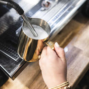 Barista Basics Milk Frothing Pitcher, 12oz, Gold - Corkys Coffee