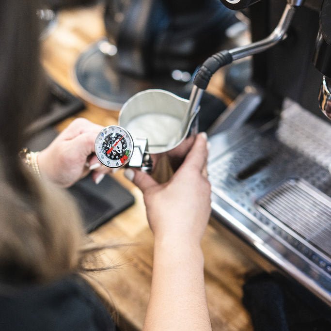 Barista Basics Steam Kit - Corkys Coffee