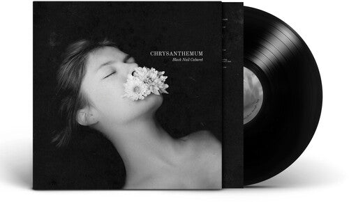 Black Nail Cabaret - Chrysanthemum - Corkys Coffee