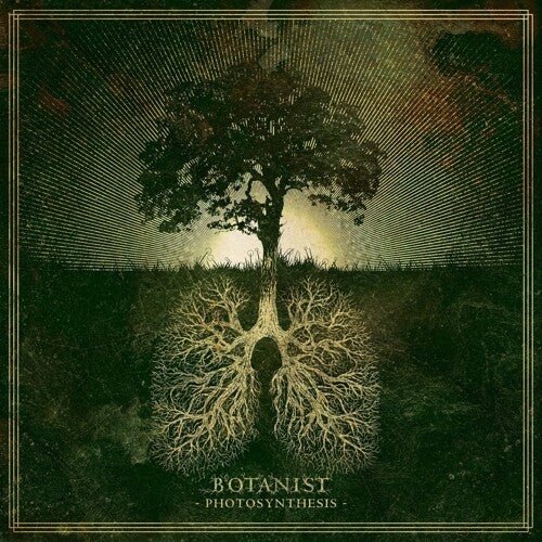 Botanist - Photosynthesis - Corkys Coffee