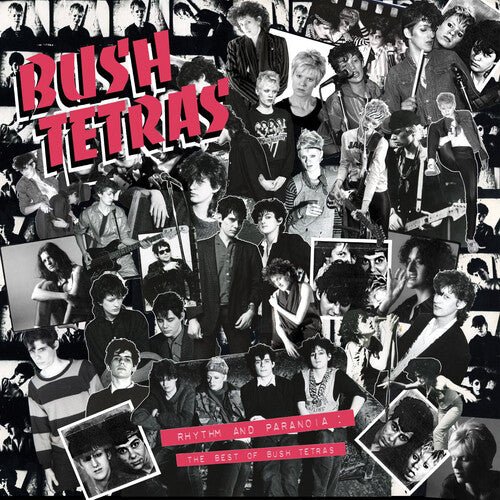 Bush Tetras - Rhythm & Paranoia: the Best of Bush Tetras - Corkys Coffee
