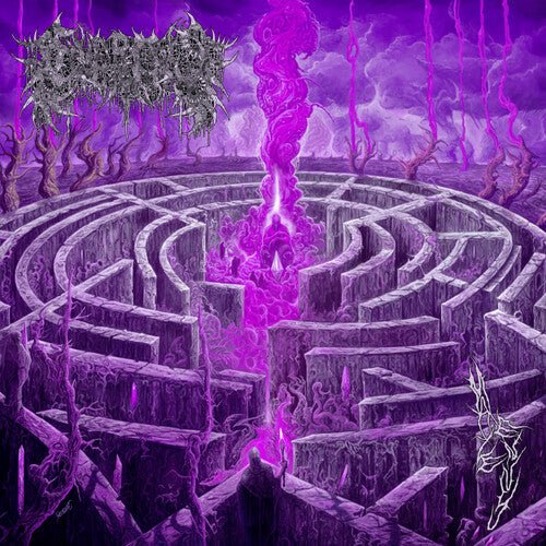 Civerous - MAZE ENVY - Corkys Coffee