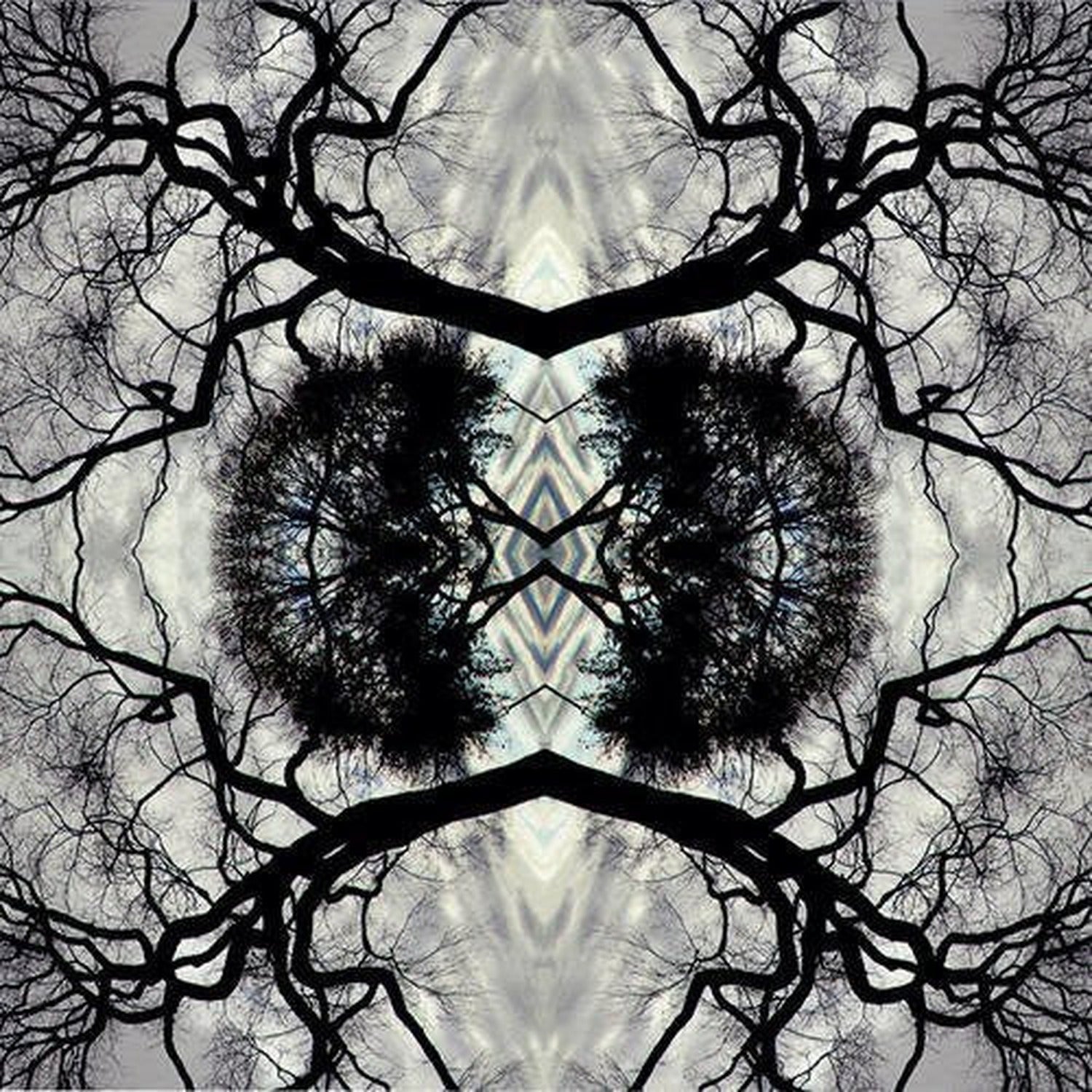 Adam Rudolph - Sonic Mandala Go: Organic Orchestra 2xLP (Limited Edition)