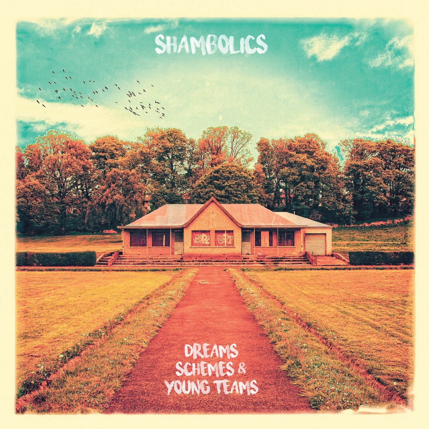 Shambolics - Dreams Schemes & Young Teams - Limited Yellow Colored Vinyl (Yellow Vinyl)