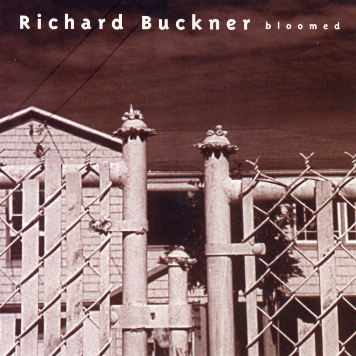 Richard Buckner - Bloomed [Reissue] [Bonus CD] (Reissue)