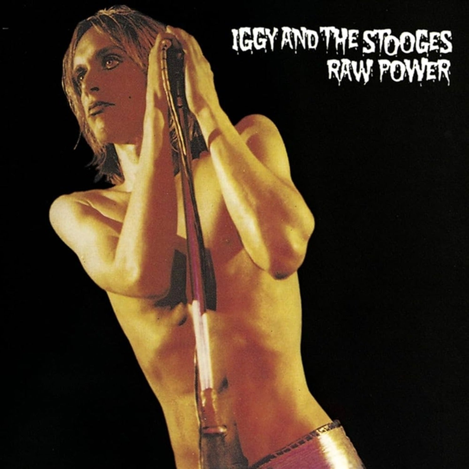 Iggy Pop & Stooges - Raw Power 2xLP
