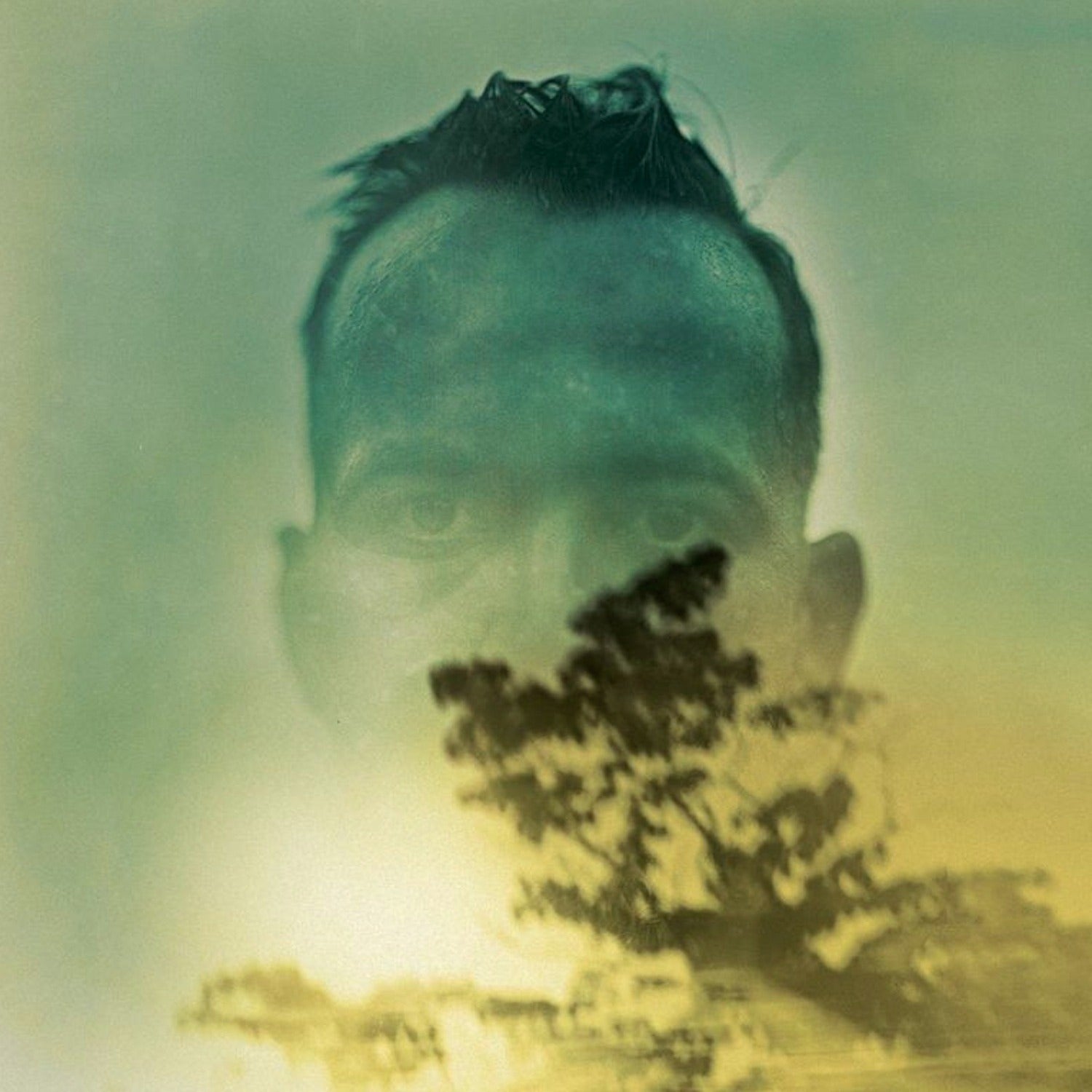 Duquette Johnston - Rabbit Runs a Destiny