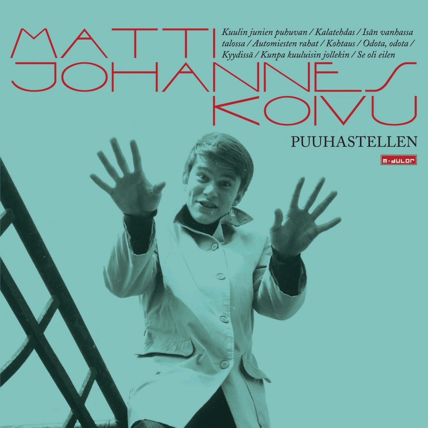 Matti Johannes Koivu - Puuhastellen