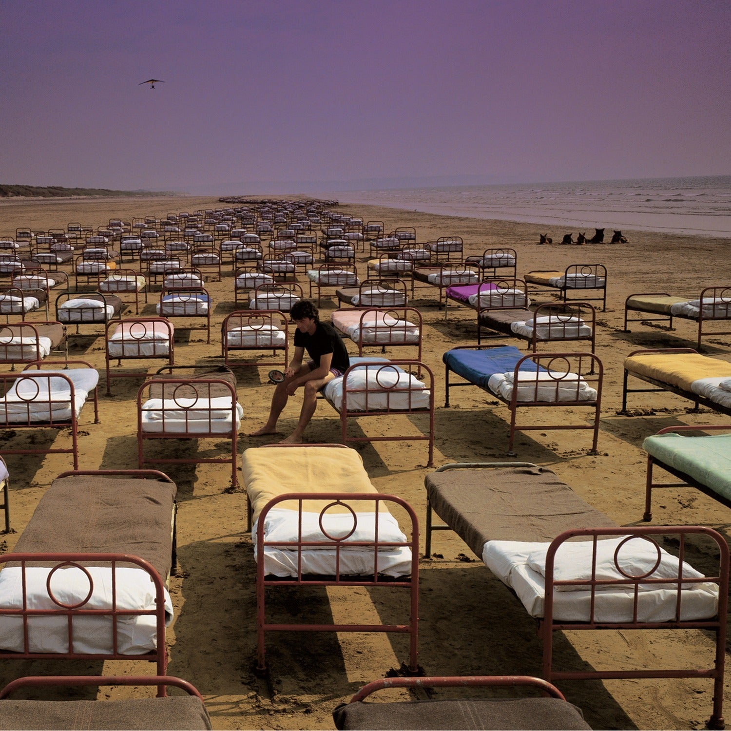 Pink Floyd - Momentary Lapse of Reason (CD)