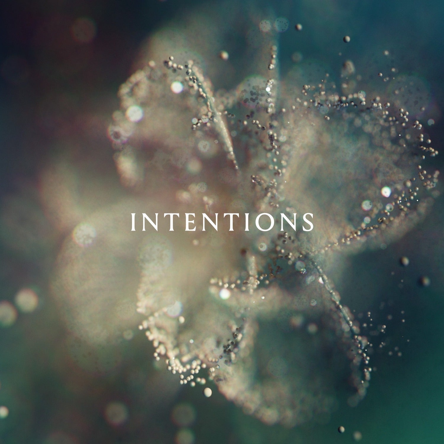 Anna - Intentions 2xLP