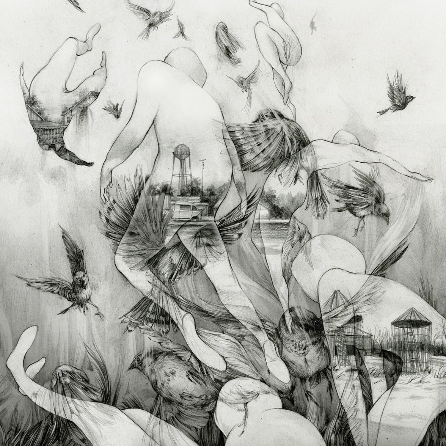 Mono - Last Dawn (CD)