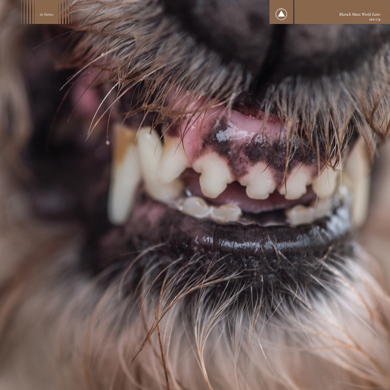 Blanck Mass - World Eater (CD)