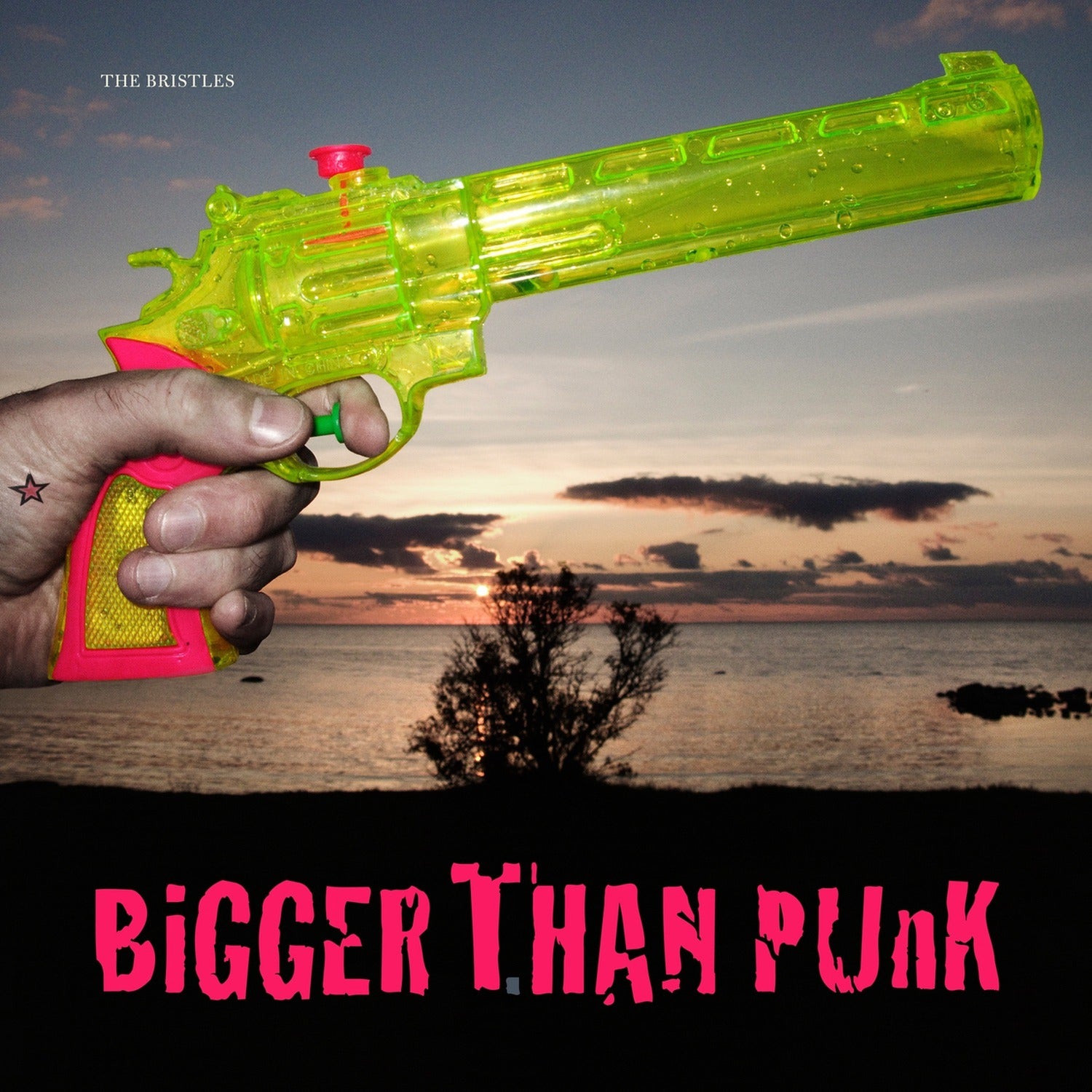 Bristles - Bigger Than Punk (CD)