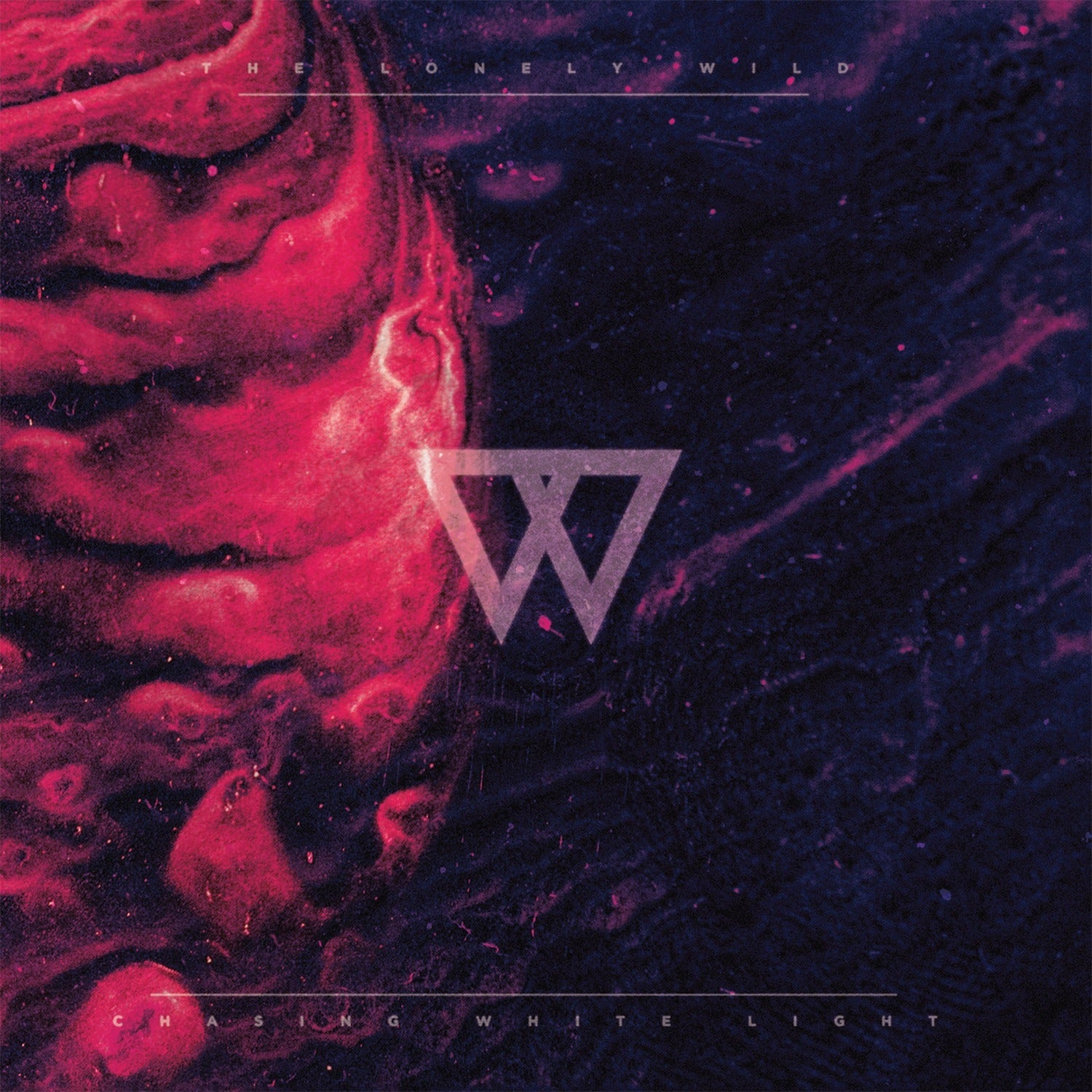 Lonely Wild - Chasing White Light (CD)