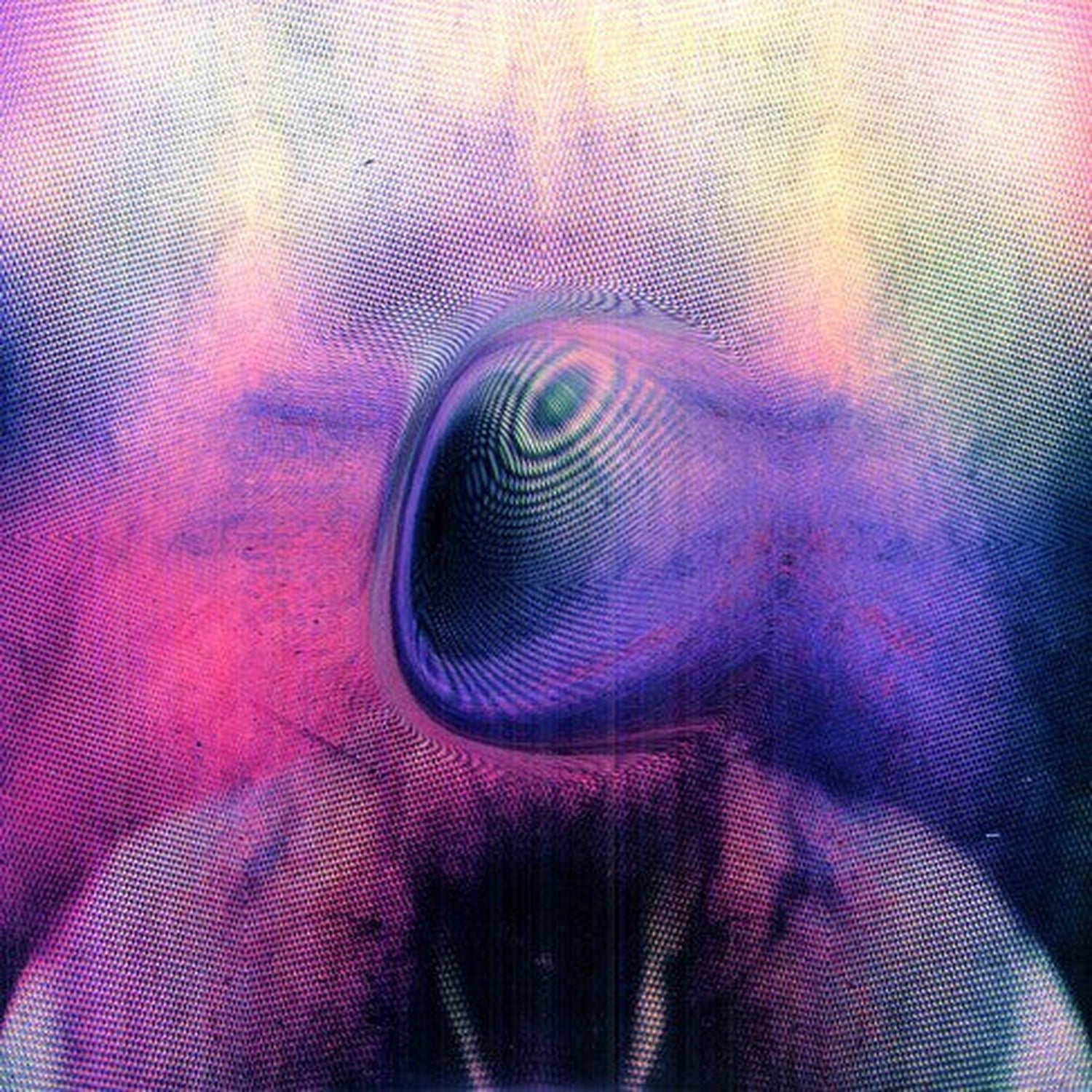 Young Magic - Melt