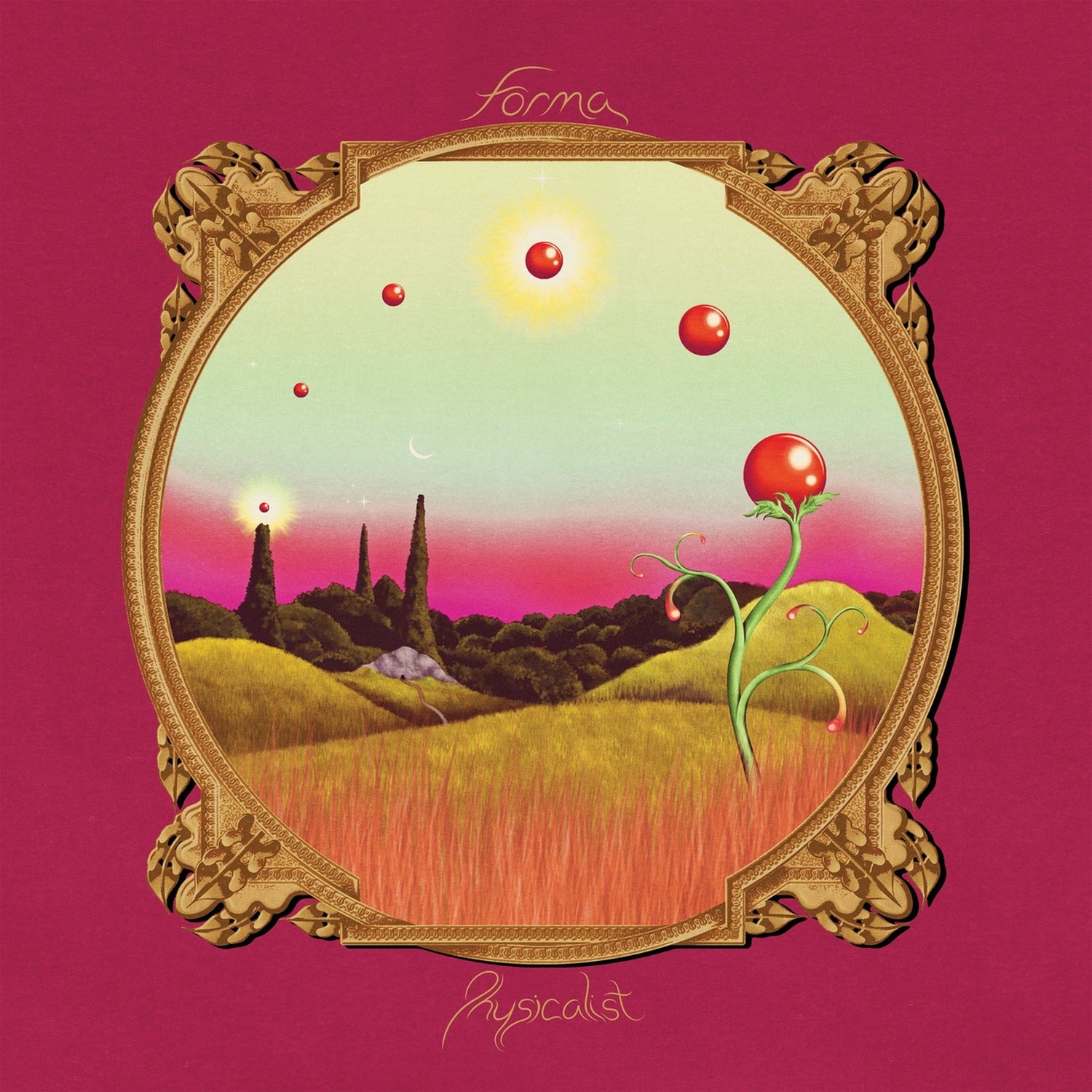 Forma - Physicalist 2xLP