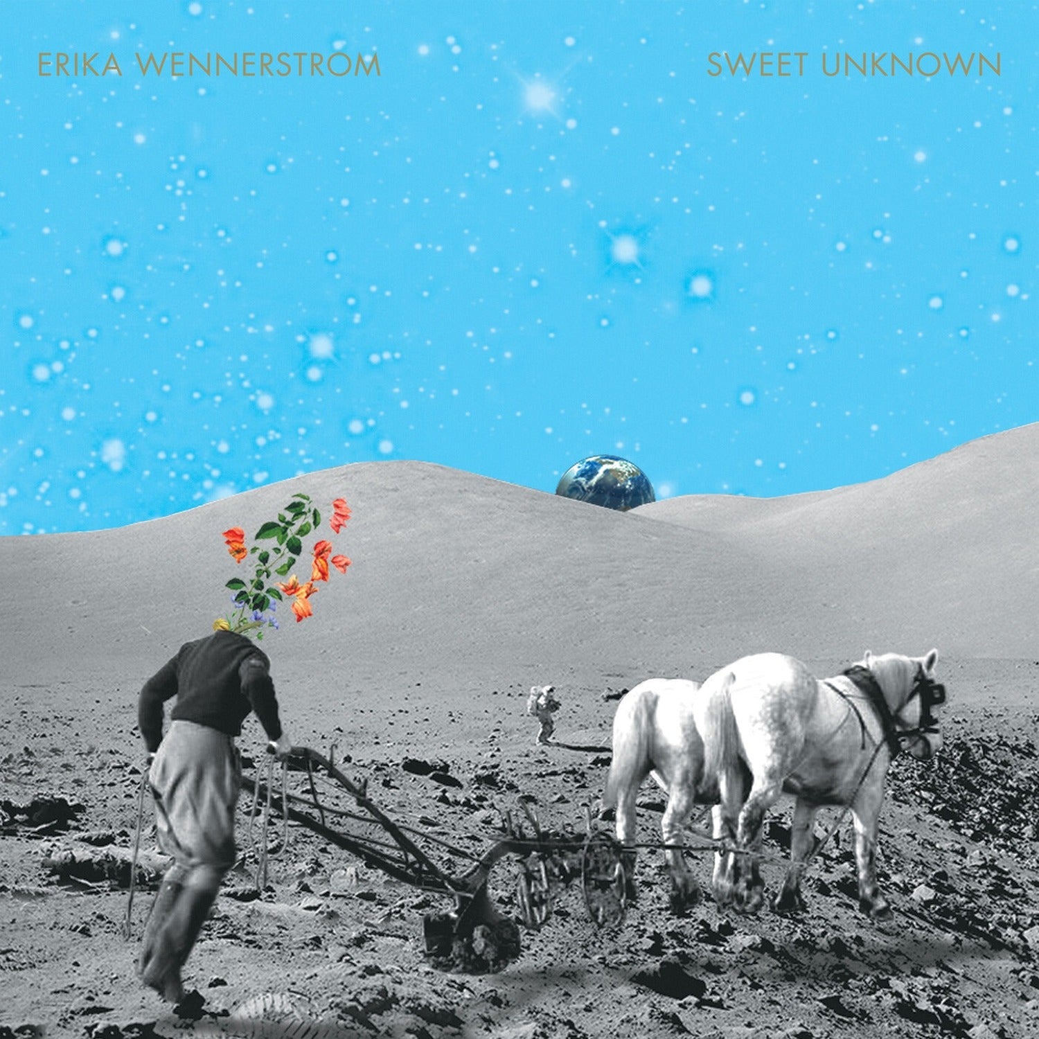 Erika Wennerstrom - Sweet Unknown 2xLP