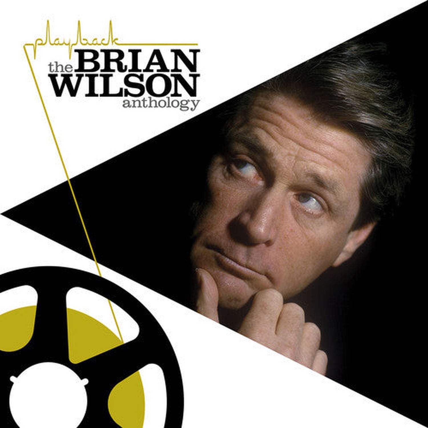 Brian Wilson - Playback: Brian Wilson Anthology 2xLP