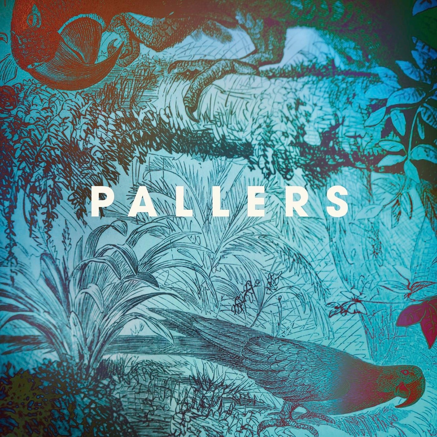 Pallers - The Sea Of Memories