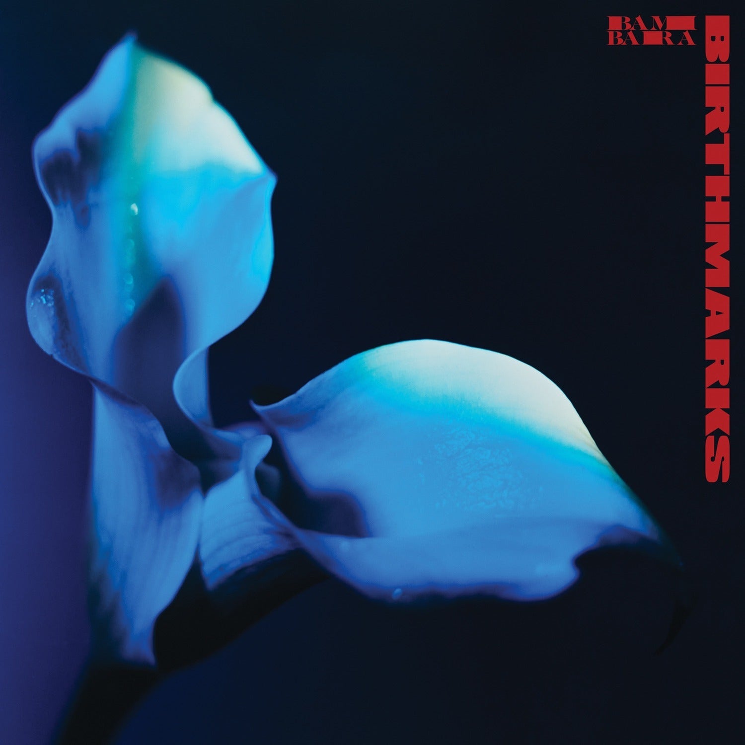 Bambara - Birthmarks (CD)