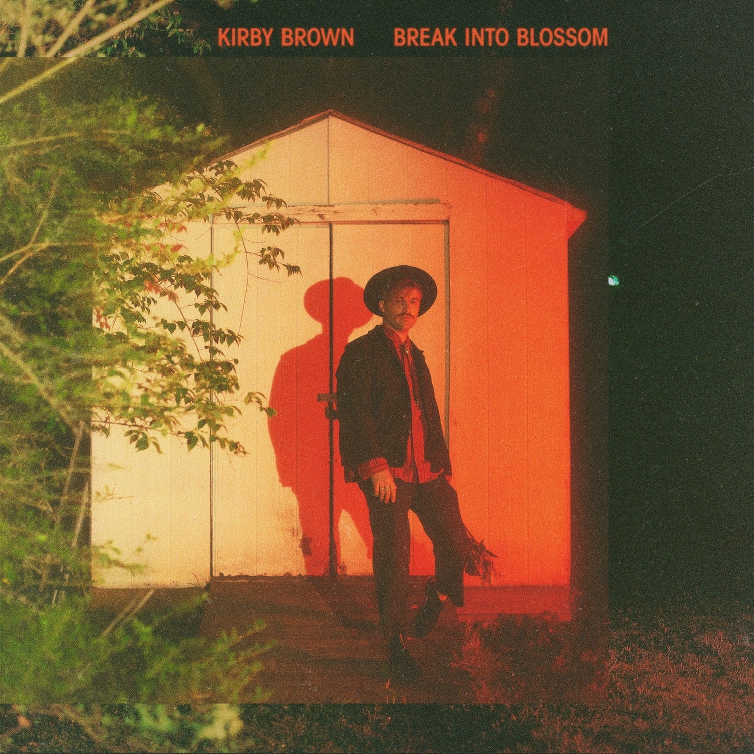 Kirby Brown - Break Into Blossom