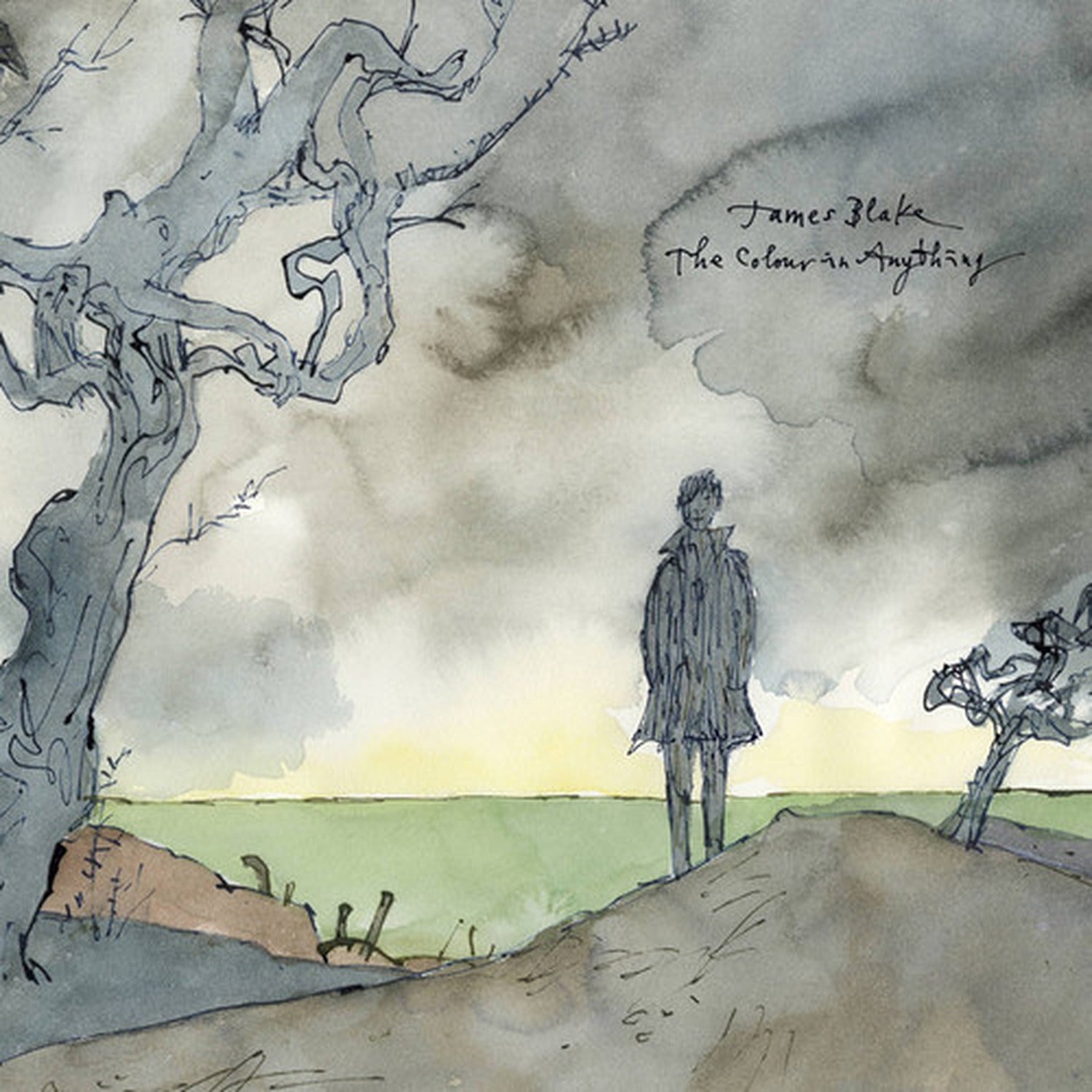 James Blake - The Colour In Anything 2xLP