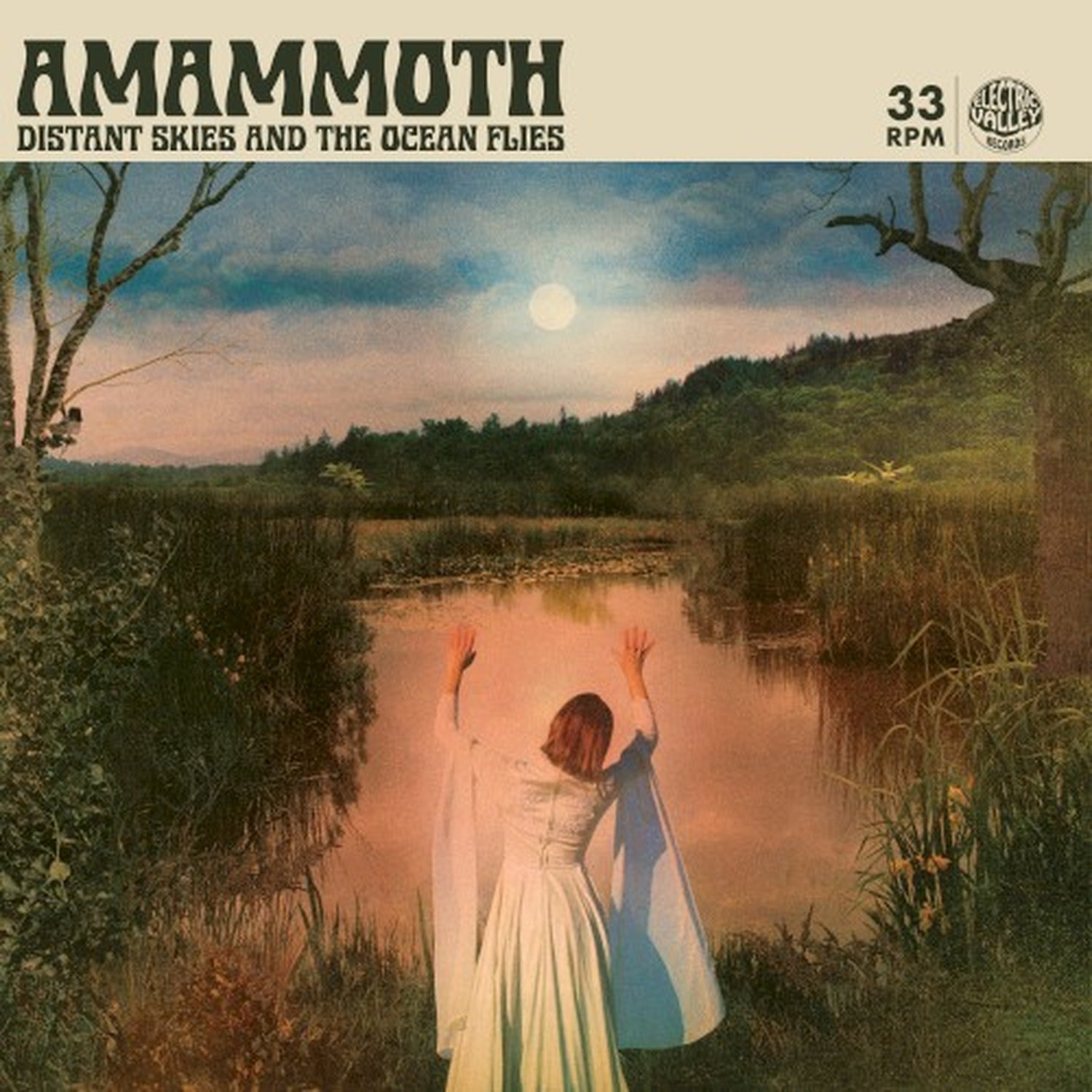 Amammoth - Distant Skies & The Ocean Flies