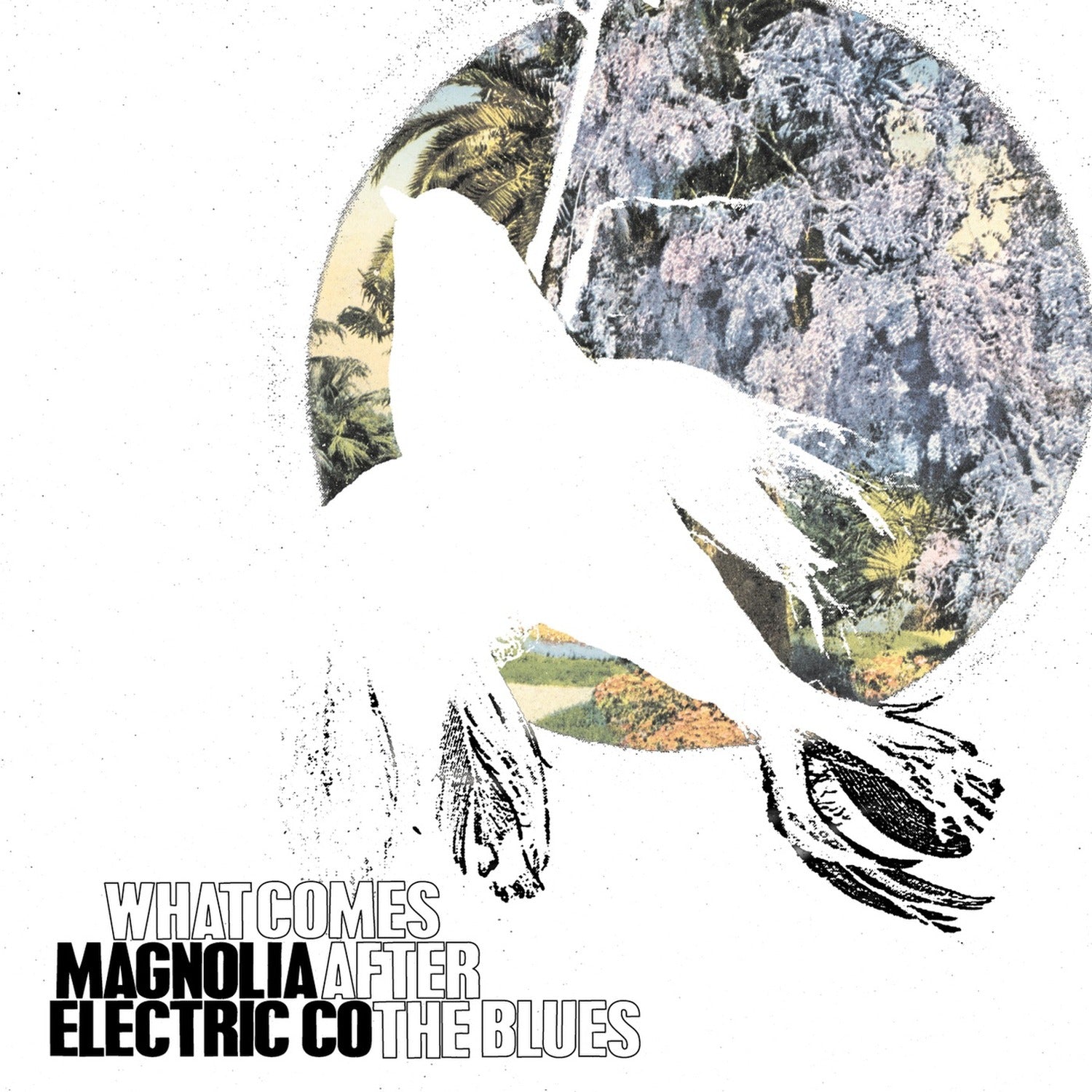 Magnolia Electric Co - What Comes After the Blues