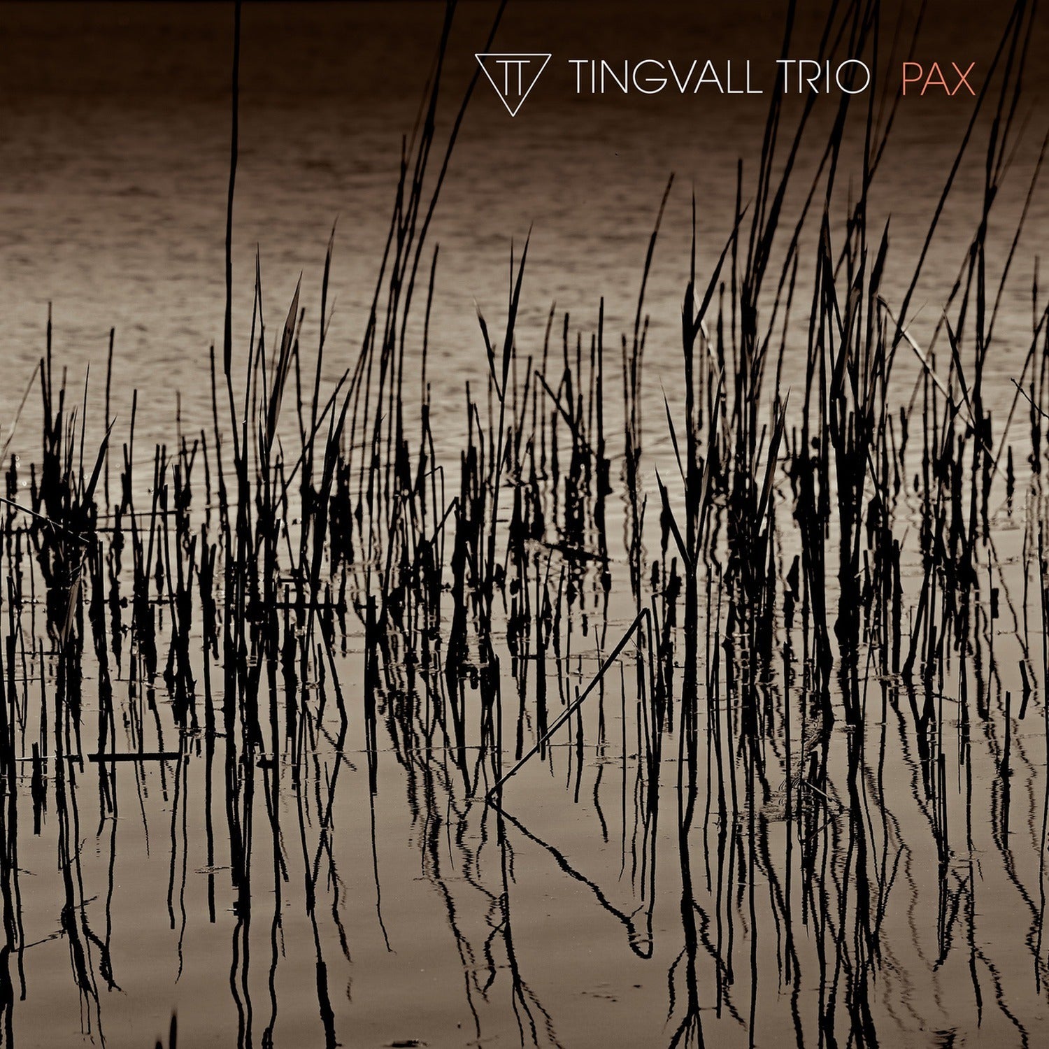 Tingvall Trio - Pax