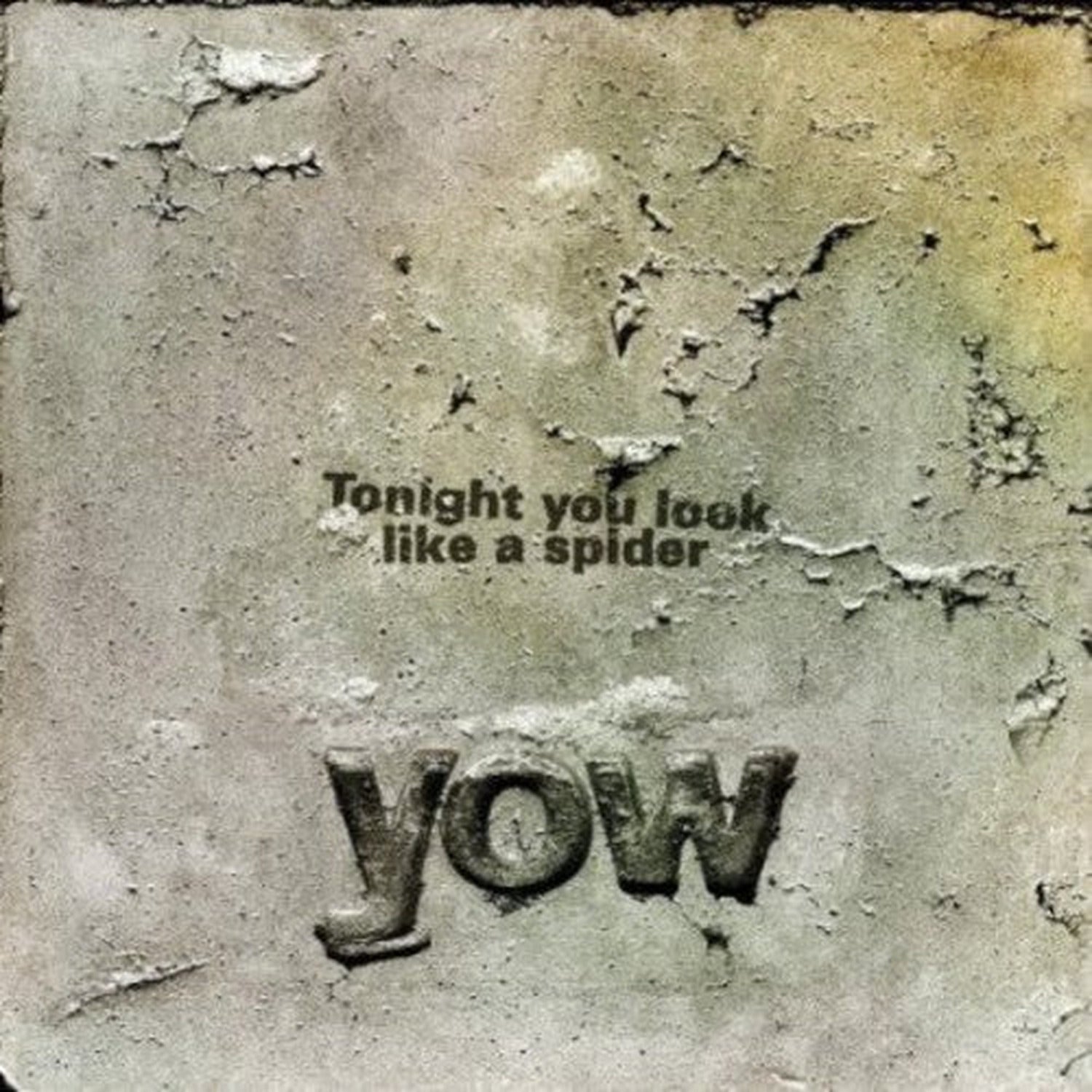 David Yow - Tonight You Look Like a Spider 2xCD