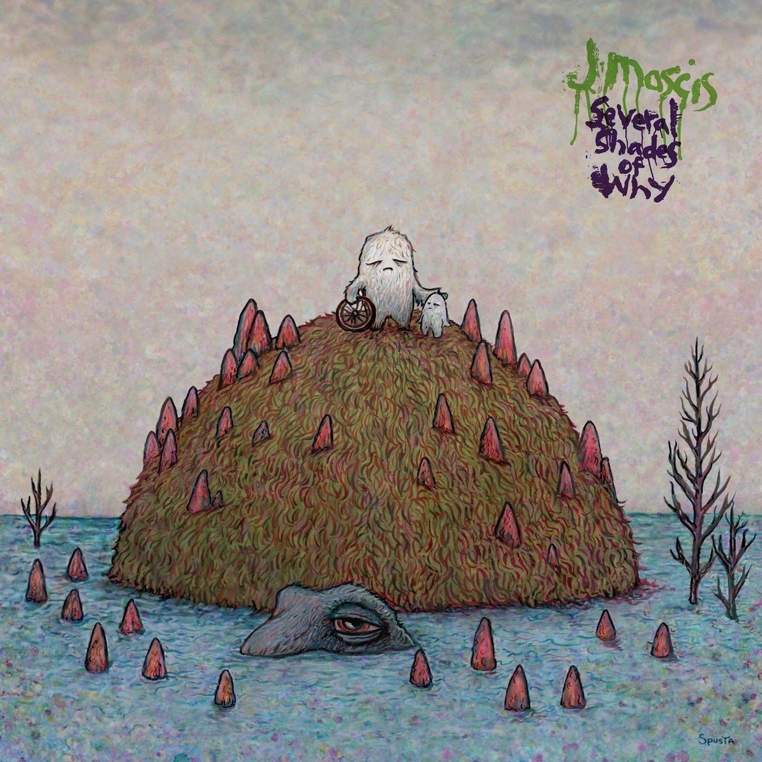 J Mascis - Several Shades of Why (CD)