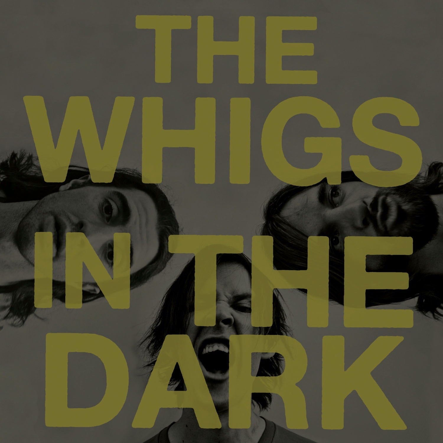 Whigs - In the Dark